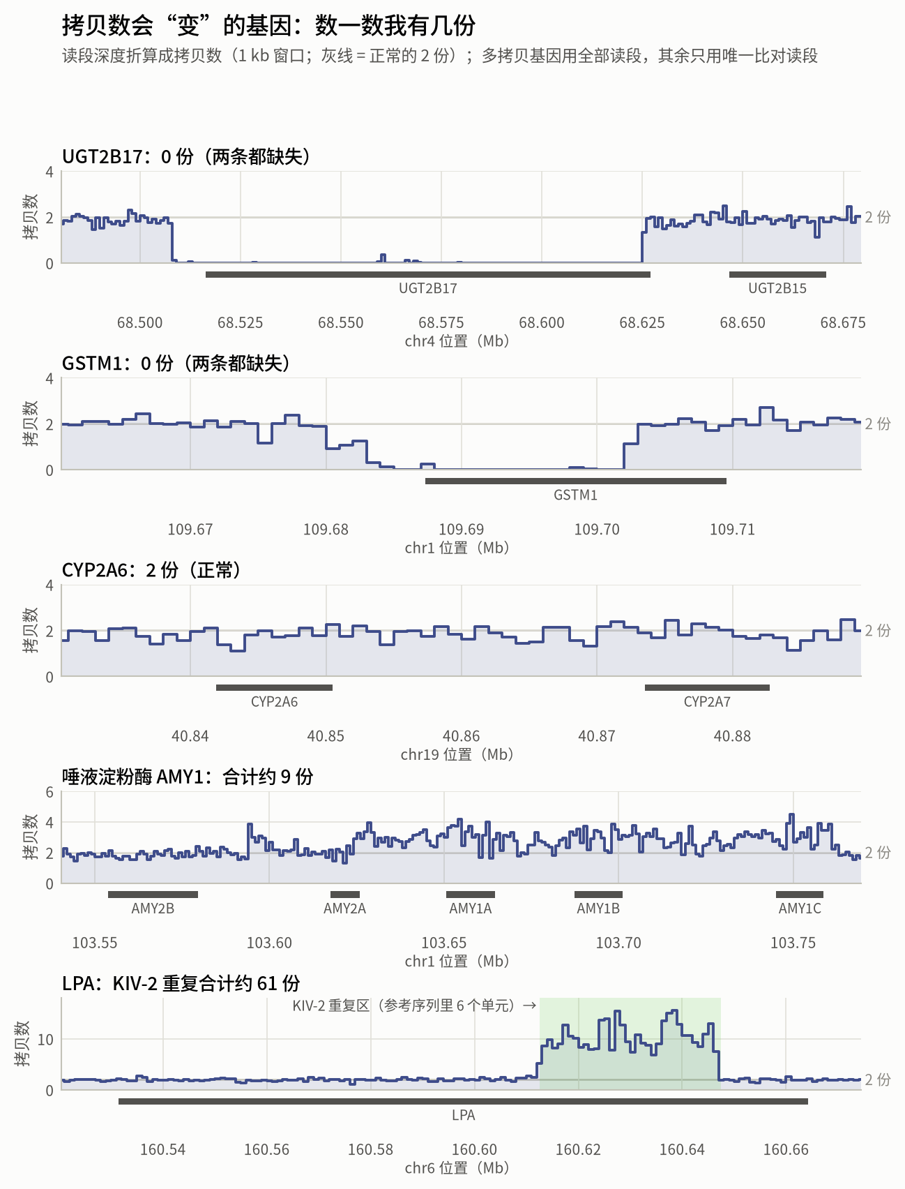 Depth profiles of several copy-number-variable genes
